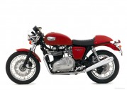 Triumph Thruxton